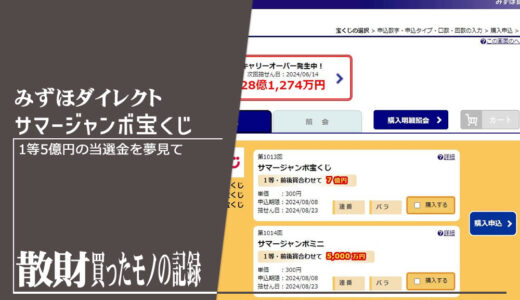 第1013回 サマージャンボ宝くじ 散財レビュー | 1等5億円の当選金を夢見て